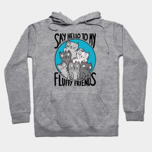 Say Hello To My Fluffy Friends Hoodie